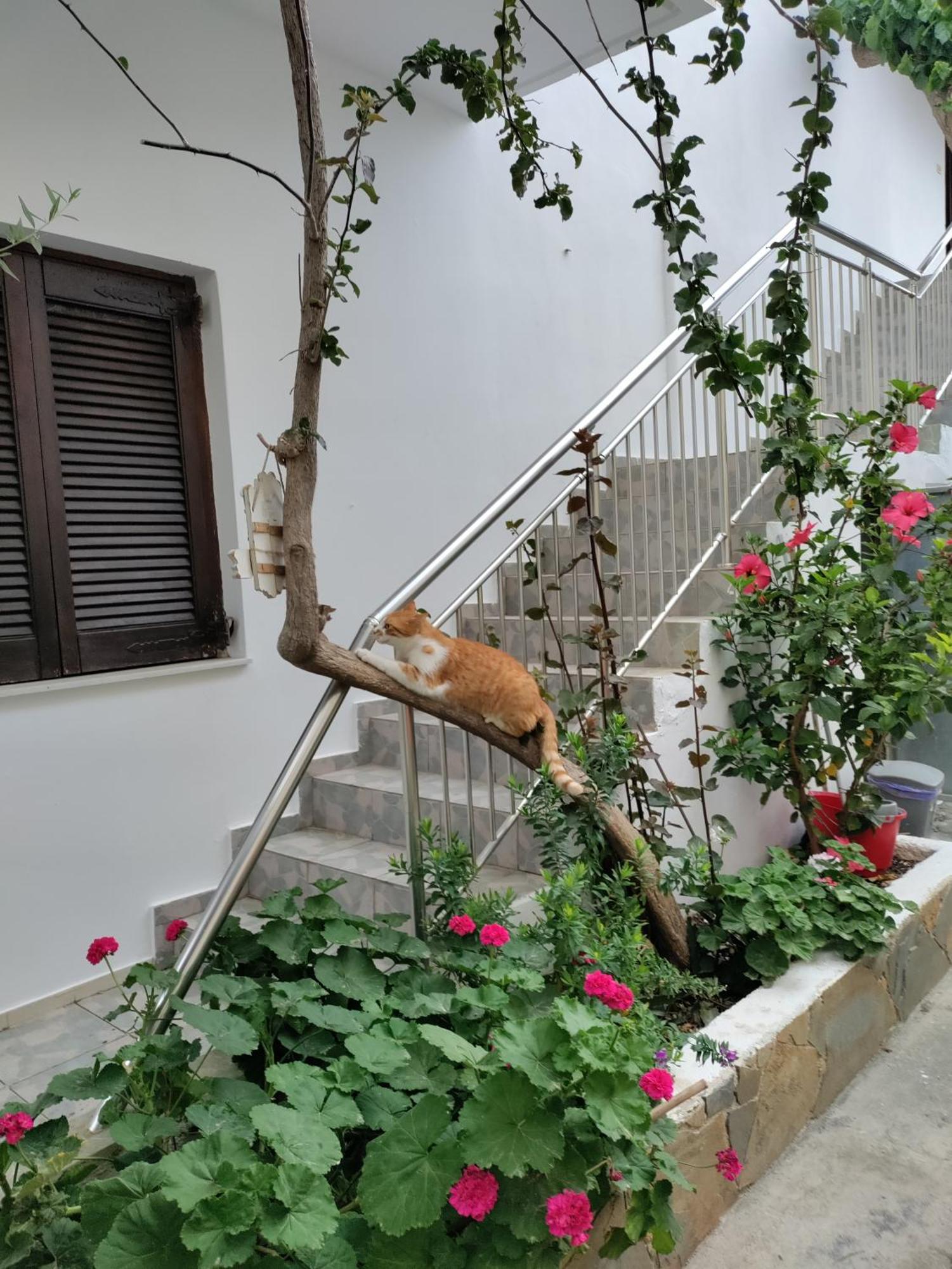 Maria'S Apartments Kalyves Exterior foto